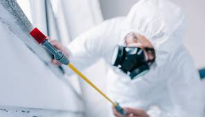 Best Real Estate Pest Inspections  in Sweetser, IN